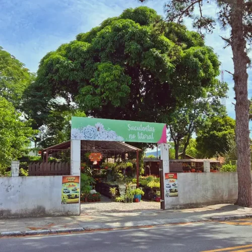 Floricultura Suculentas no Litoral em Florianópolis